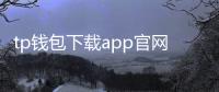 tp钱包下载app官网正版网址:官方渠道下载指南与安全要点